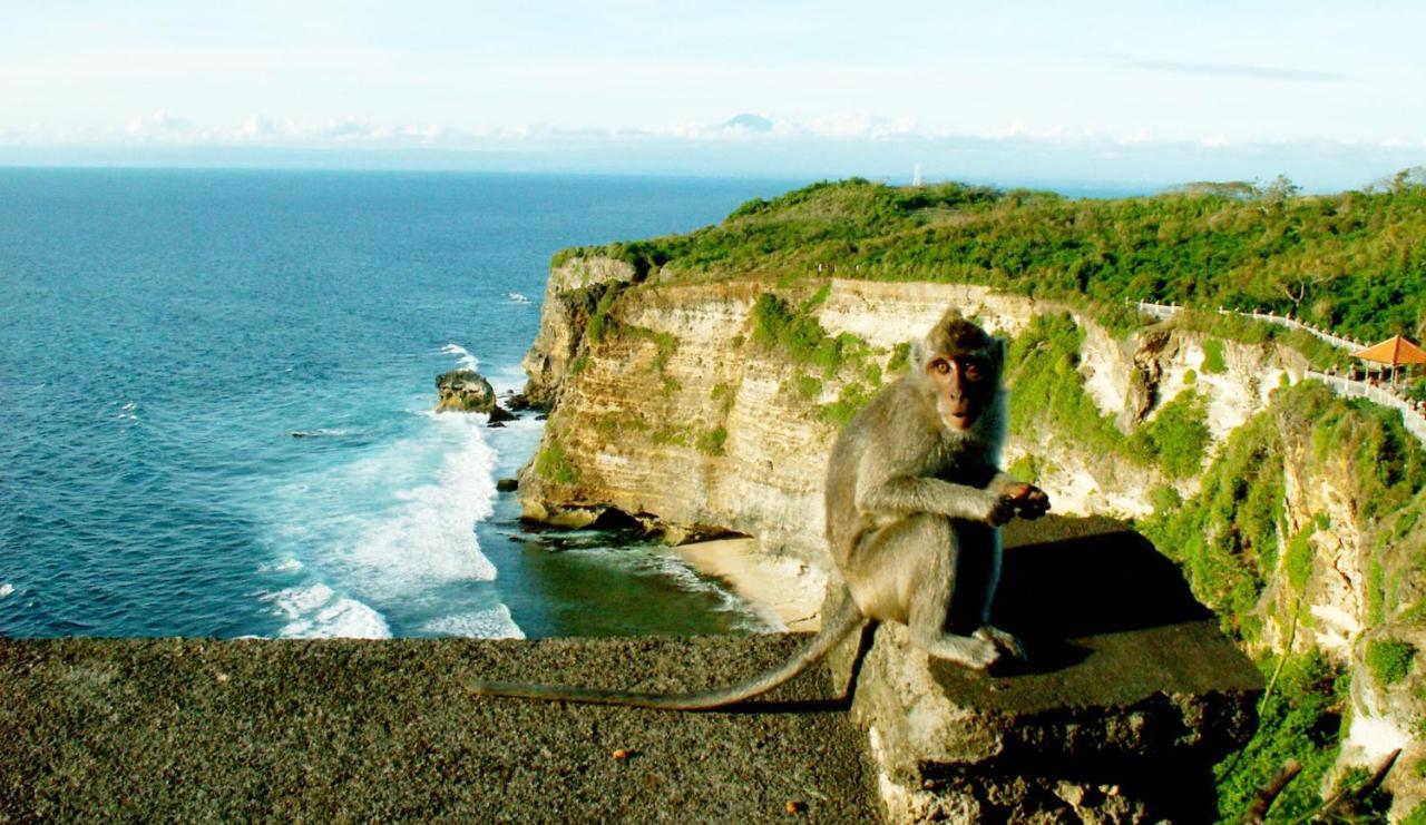 Hakuna Matata Bali Villas Улувату Экстерьер фото